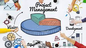 project ms